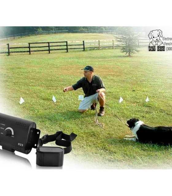 electronic pet fencing system