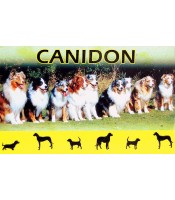 CANIDON 50