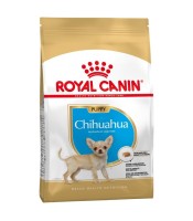 Chihuahua puppy 1,5kg