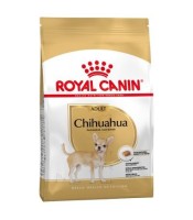 Chihuahua aduld 1,5kg