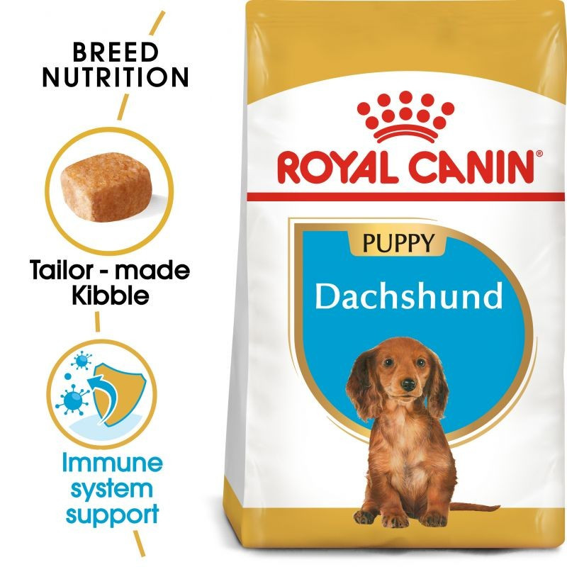 royal canin dachshund puppy dry dog food
