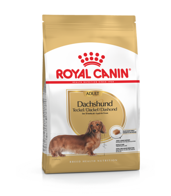 Royal Canin Food Dachshund adult