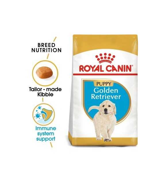 Golden Retriever puppy 3kg