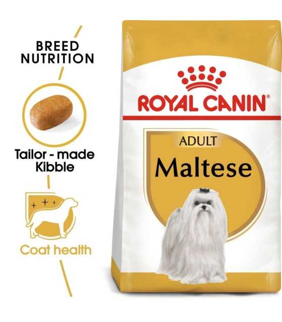 Maltese Adult  1,5kg