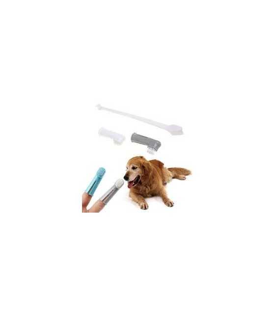 toothbrush for pet