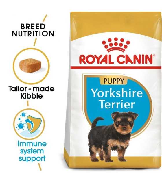 Yorkshire Terrier Puppy 1,5kg
