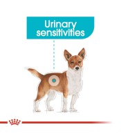 Royal Canin Food CCN Mini Urinary Care 3kg