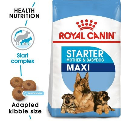 royal canin maxi starter