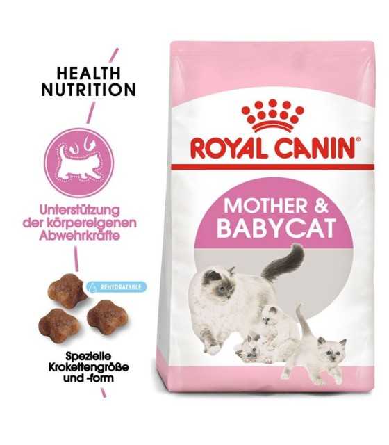 FHN mother and babycat 2kg