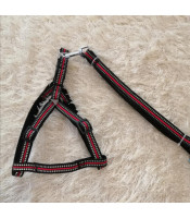 Dog harness S