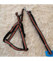 Dog harness S