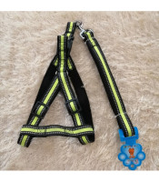 Dog harness M