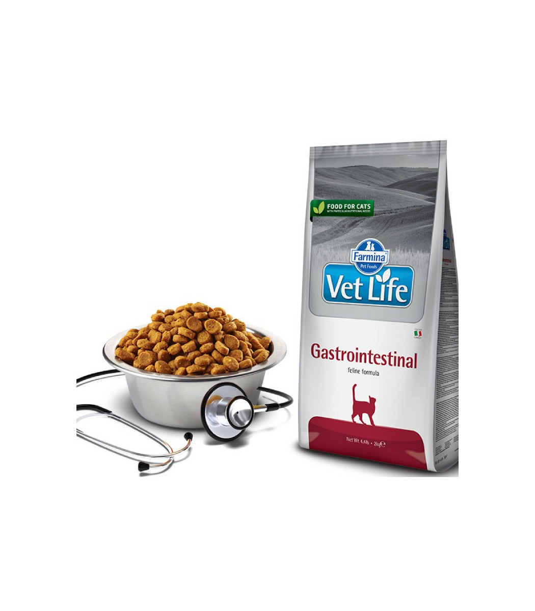 farmina vet life cat hepatic