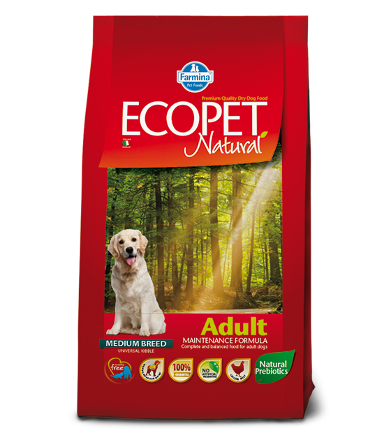 ecopet natural junior