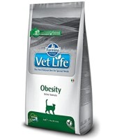 Obesity feline farmina vet life 22.01.059