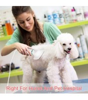 Dog Hair Dryer Pet Dryer Professional Grooming Blower Dog Slicker Brush for Large Medium Small Dog Cat Dog Hair Drye