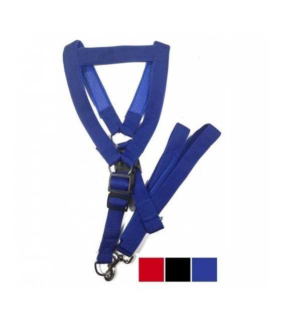 Harness and Leash xl