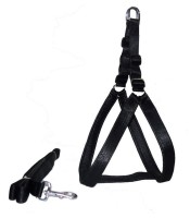 OEM PRODUCTS Harness and Leash xl