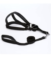 OEM PRODUCTS Harness and Leash xl
