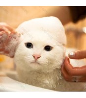 SHAMPOO for cats 250ml Shampoo for cats