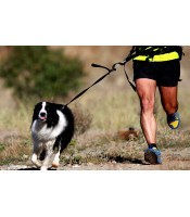 JOGGING LEASH for dogs jogging leash