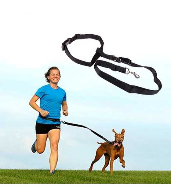 jogging leash