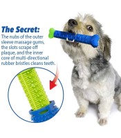BulbHead Chewbrush Toothbrush Dog Toothbrush and Dog Toy CHEWBRUSH