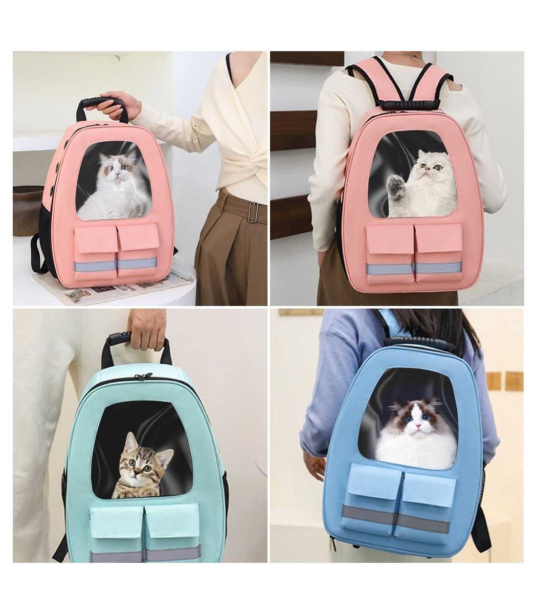 backpack PET 2
