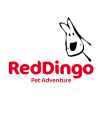  Red Dingo - AUSTRALIA