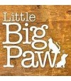  Little BigPaw - ENGLAND